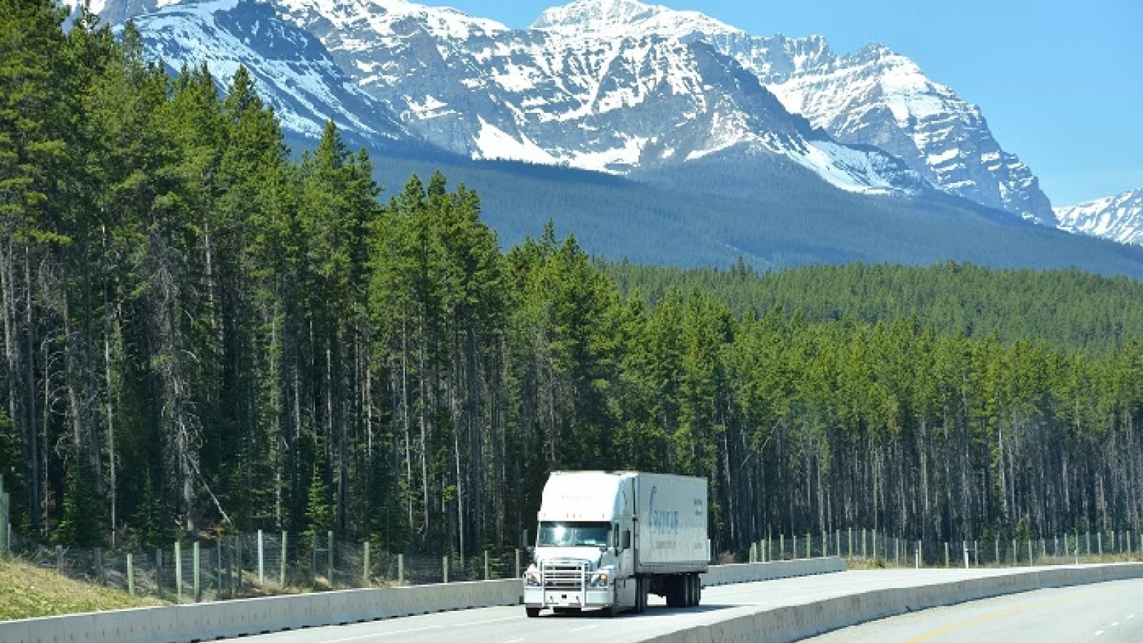US ELD mandate tightens Canadian trucking markets Journal of Commerce